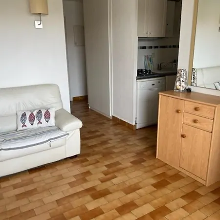 T3 Agde: Confort, Parking, Proche Plage Et Commerces, Capacite 5 Pers. - Fr-1-749-7 Apartamento